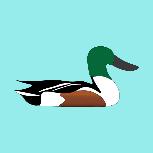 Northern Shoveler by Feathered Finds