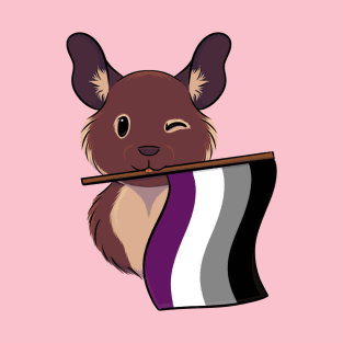 Ace Pride Degu T-Shirt