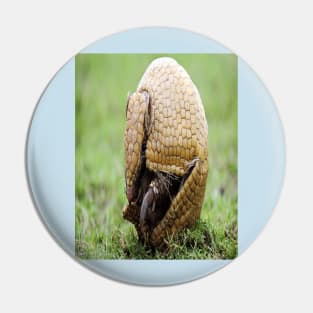 Armadillo Pin