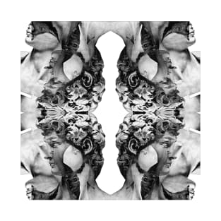 Kaleidoscopic David #1 ∆∆∆ Aesthetic Collage Design T-Shirt