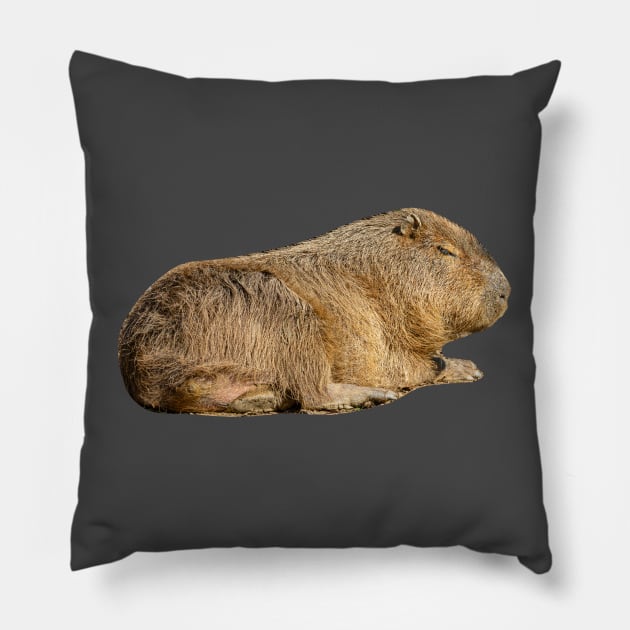 Lazy Capybara Pillow by dalyndigaital2@gmail.com