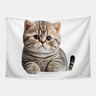 Purfect position Tapestry