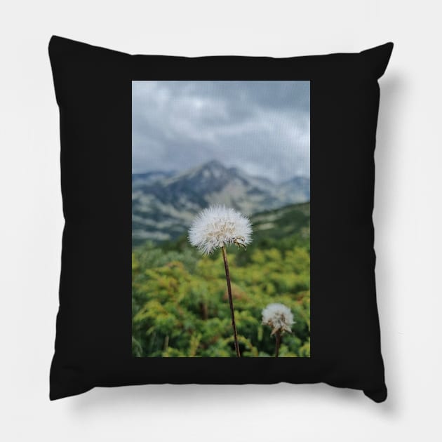 Mountain Dandelion Pillow by Anastasia-03