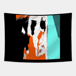 CAT COLORS AND COLORS Tapestry