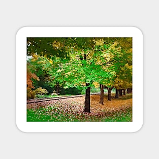 The Trees Line The Track Magnet