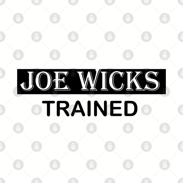 Joe wicks by Maya Designs CC