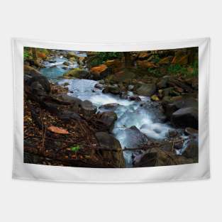 Forest Stream Tapestry