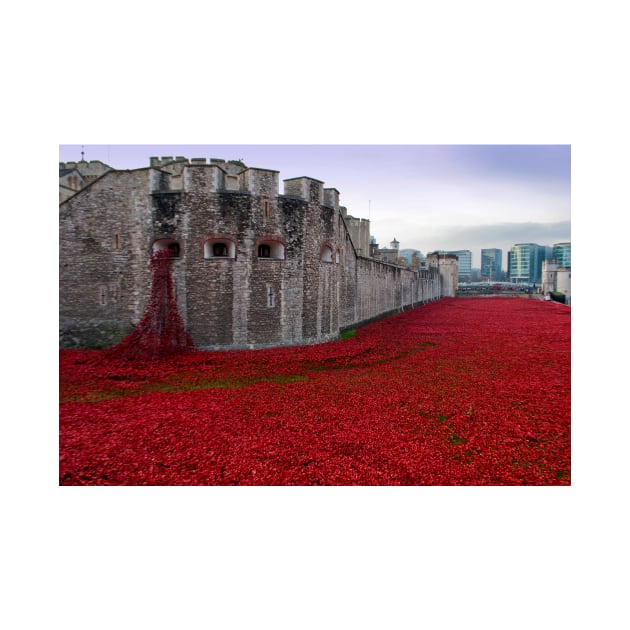 Tower of London Red Poppy by AndyEvansPhotos