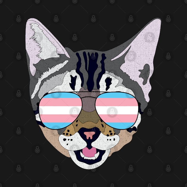 Cute Cat Sunglasses Trans Transgender Pride Flag by NightField