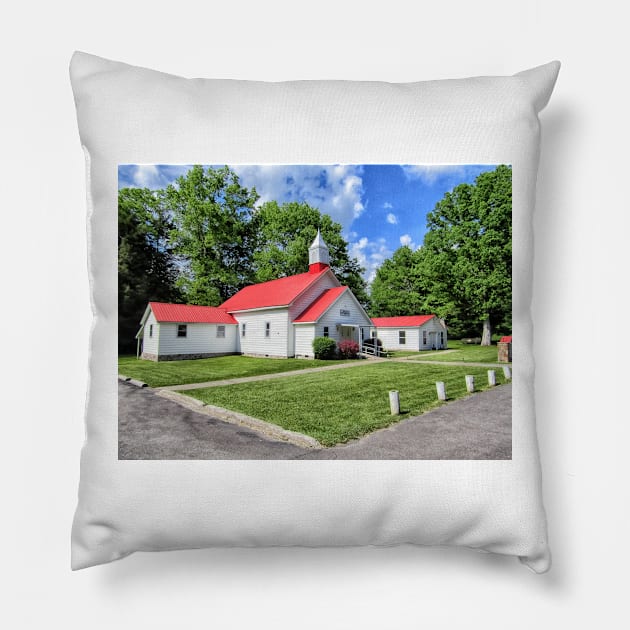 Penile United Methodist Pillow by PaulLu