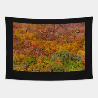 Colorful autumnal landscape Tapestry