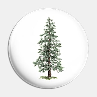 December birthday spruce tree Pin