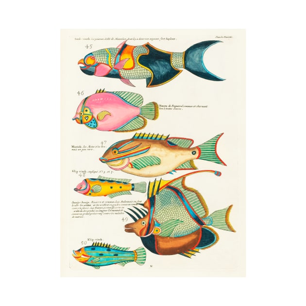 Fishes found in Indonesia and the East Indies (1678 -1746) by WAITE-SMITH VINTAGE ART