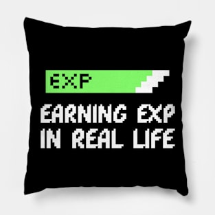 Earning Exp In Real Life Gaming Pillow