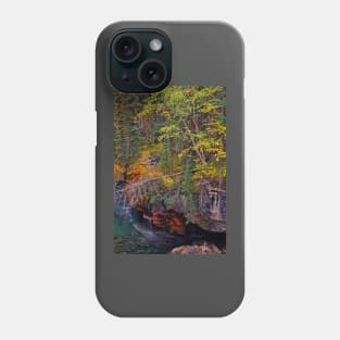 Canada. Canadian Rockies. Jasper NP. Maligne Canyon. Fall Colors. Phone Case