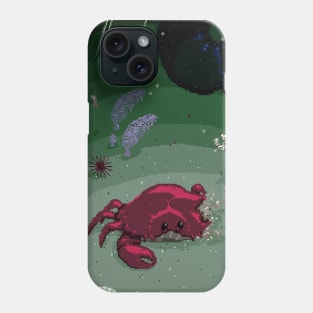 Tidal pool Phone Case