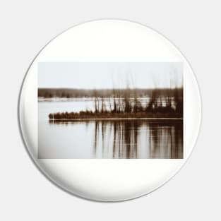 Sepia Reflections Pin