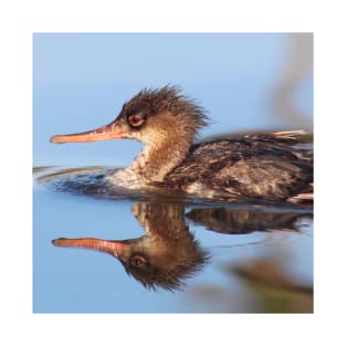 Red-breasted Merganser T-Shirt