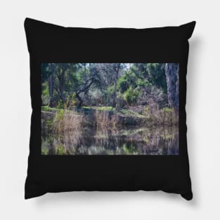 Pond Refelctions Pillow