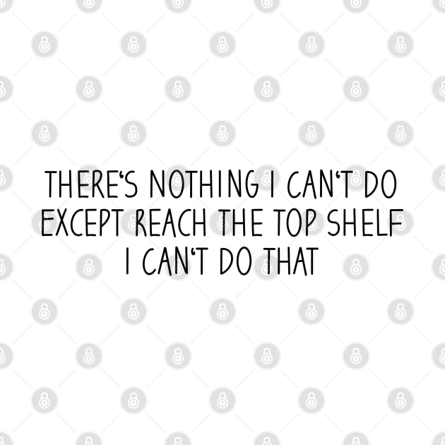 There's Nothing I Can't Do Except Reach The Top Shelf I Can't Do That by Blonc