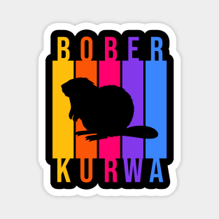 Funny Polish Internet Meme Bobr Bober Kurwa Colorful Text Art Magnet