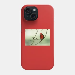 Little Red Beauty - Vermilion Flycatcher Phone Case