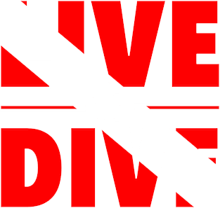 Life to Dive Sea Diver Flag Gift Magnet
