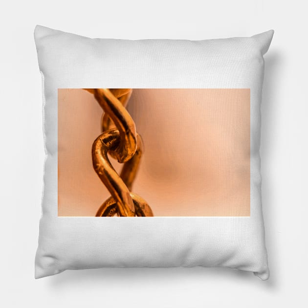 Gold macro chain Pillow by AdiDsgn