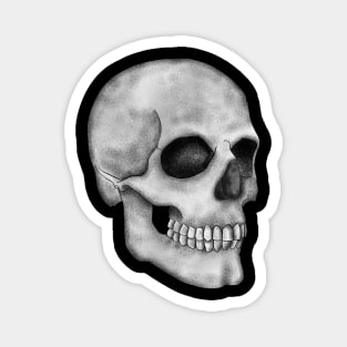 Skull Magnet