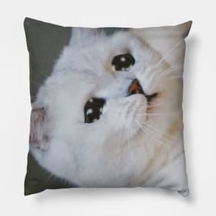 Sad Cat Crying Cat Cute Meme Pillow