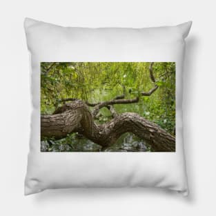 gnarled branches Pillow