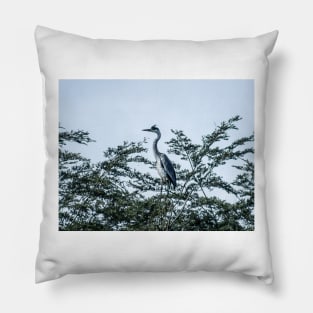 22017 grey heron Pillow