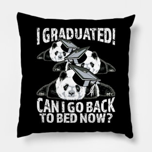 I graduated in 2024 Funny Panda Education Congratulations Pillow