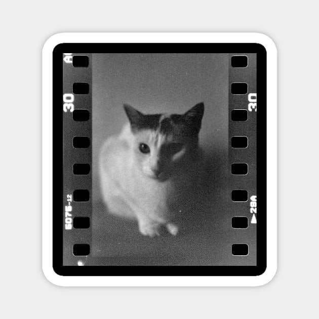 Analog Cat Magnet by s.elaaboudi@gmail.com