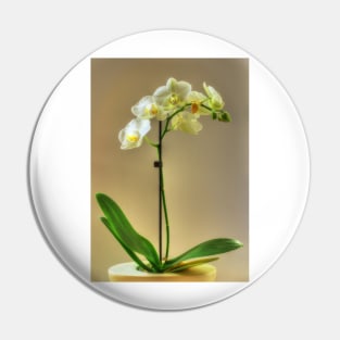 Orchid Pin