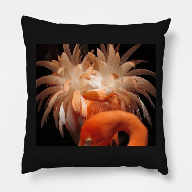 Caribbean Flamingo Pillow by Sharonzoolady