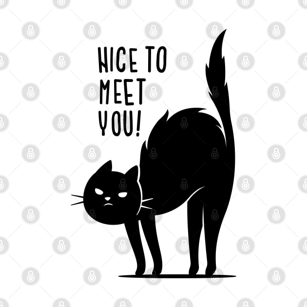 Nice To Meet You by zoljo