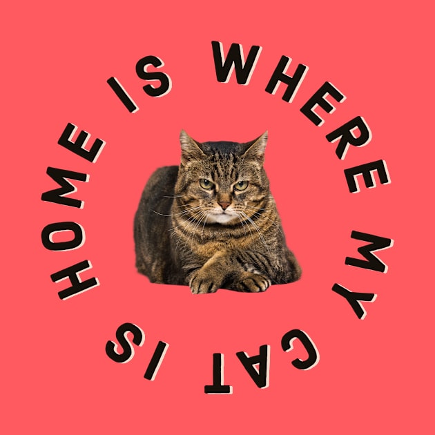 Home Is Where My Cat Is (Manx) by terrybain