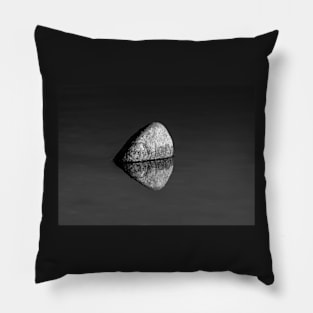 Rock in a Lake Pillow