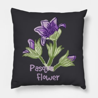 Pasque Flower Pillow