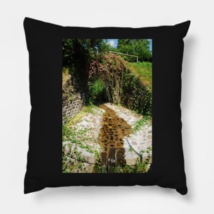 Flowery Bridge with Stream Pillow