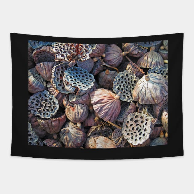 Dried Seed Pods Tapestry by EileenMcVey