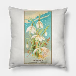 Snowdrop (Galanthus Nivalis) Pillow