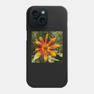 Orange Sunflower Photographic Image Phone Case