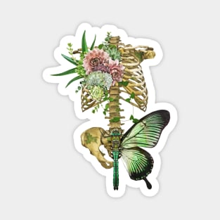 Floral Body bones anatomy Magnet