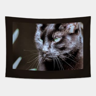 Black cat Tapestry