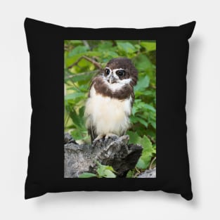 Wild but not Free Pillow