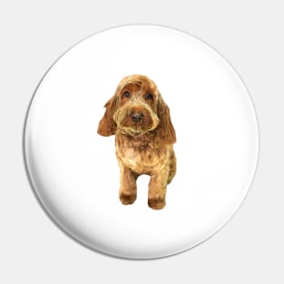 Cockapoo Cockerpoo Spoodle Cutie Doodle Dog Pin