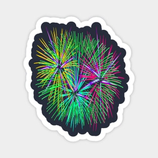 Light Up The Night Sky Colorful Fireworks Celebrations 3 Magnet