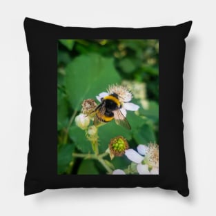 Bumblebee Pillow